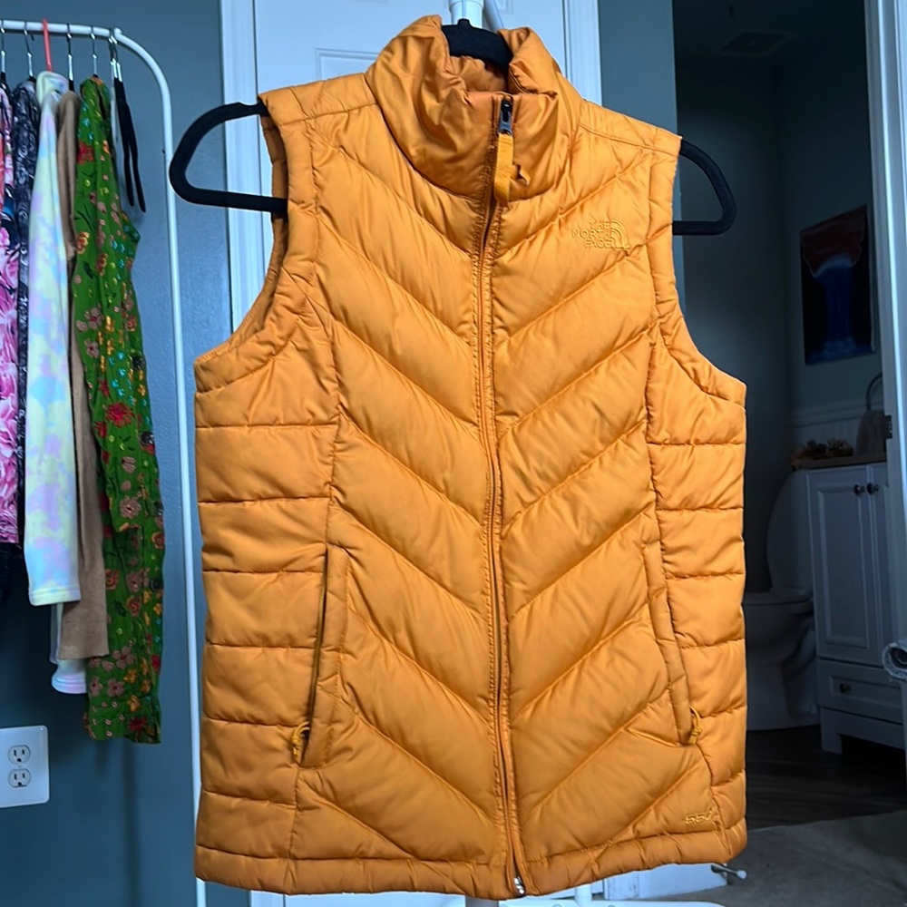 Golden Turmeric 550 Vest